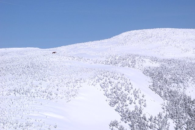 b0122448_104345.jpg