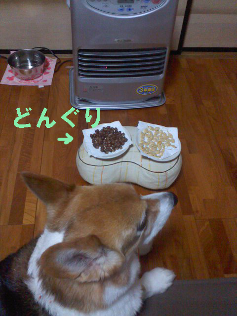 a0150850_17475164.jpg