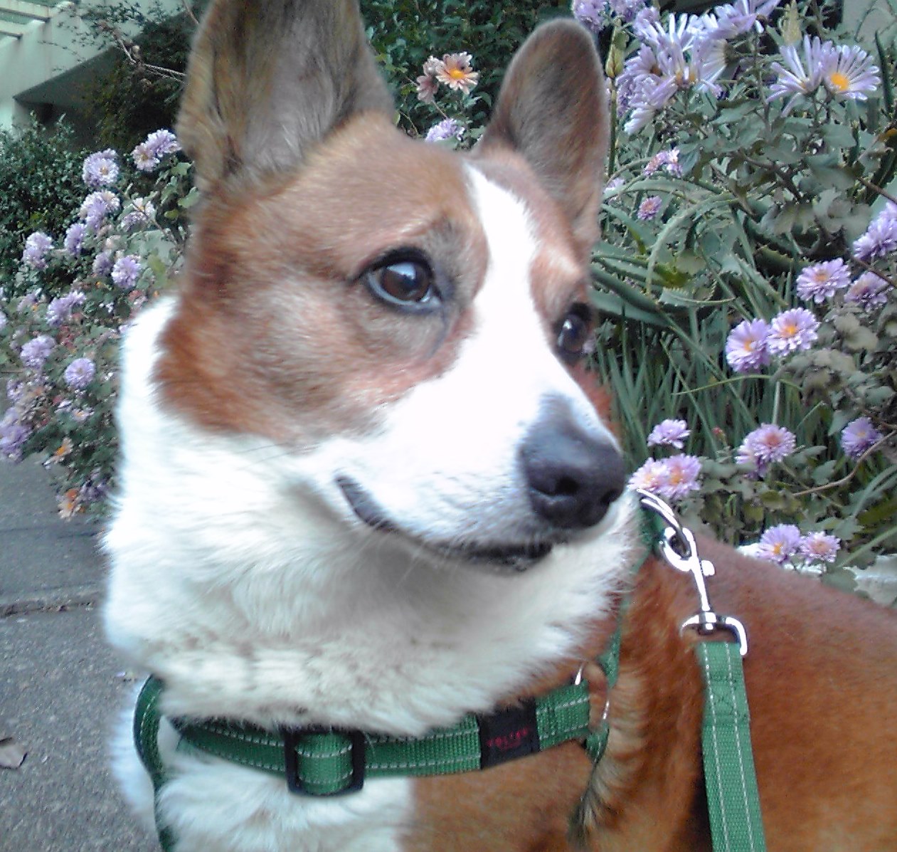 c0050857_22491753.jpg