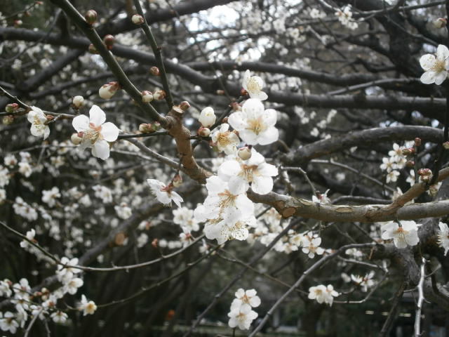 c0128862_185353100.jpg
