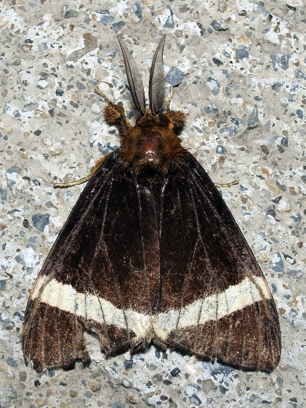 b0130166_224873.jpg