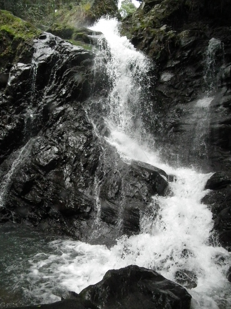 c0019376_16582051.jpg