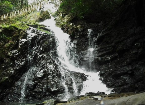 c0019376_177222.jpg
