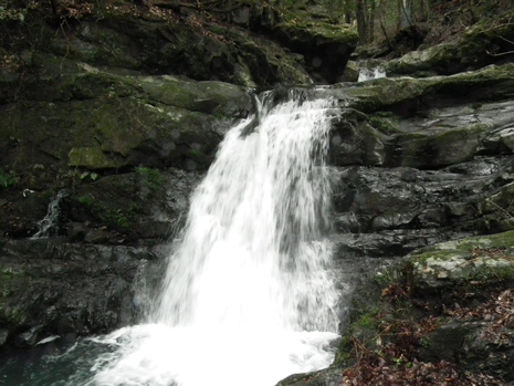 c0019376_1811132.jpg