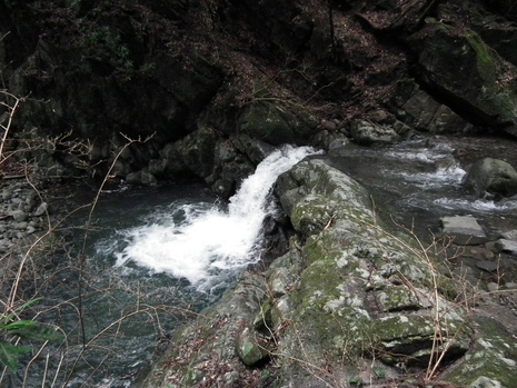 c0019376_18125863.jpg