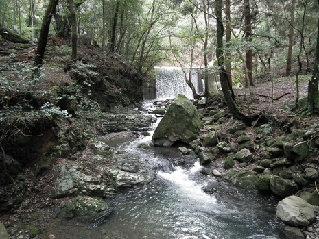 c0019376_18153855.jpg