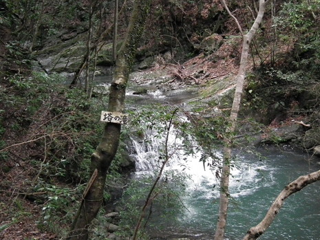 c0019376_1828838.jpg