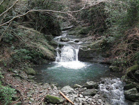c0019376_18303263.jpg