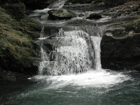 c0019376_1832211.jpg