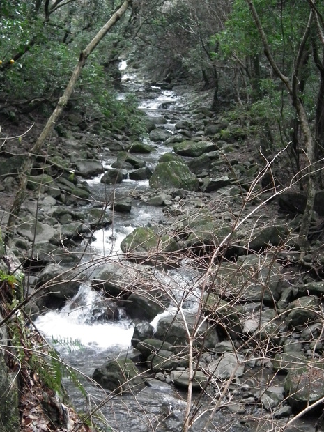 c0019376_1834780.jpg