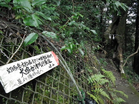 c0019376_18375199.jpg