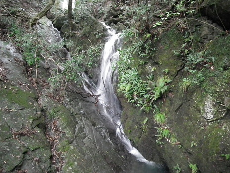 c0019376_1839408.jpg