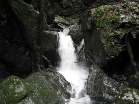 c0019376_1892541.jpg