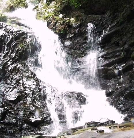 c0019376_23594077.jpg