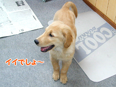 c0235678_1018169.jpg