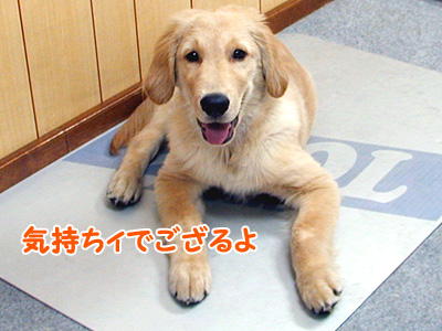 c0235678_1132817.jpg