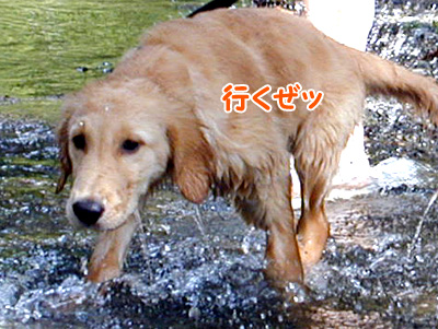 c0235678_114604.jpg