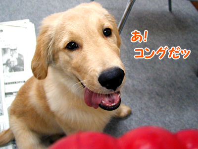 c0235678_1152851.jpg