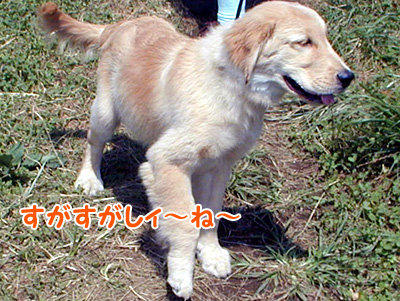 c0235678_17432686.jpg