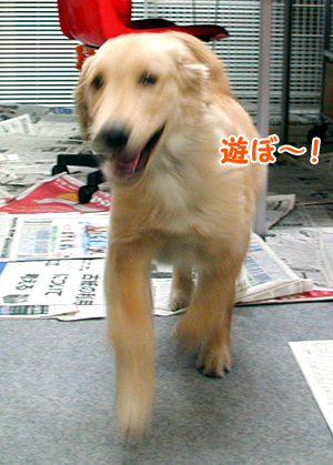 c0235678_17473821.jpg