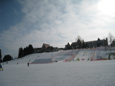 a0038882_1005374.jpg