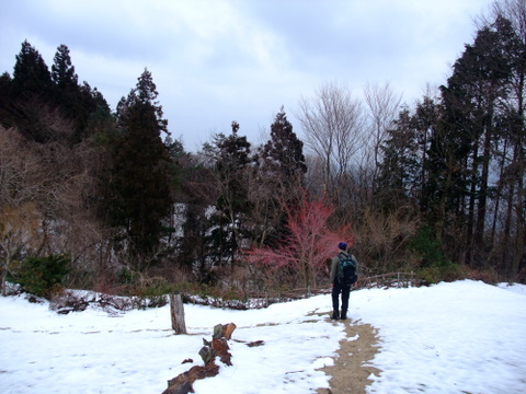a0043982_6252352.jpg