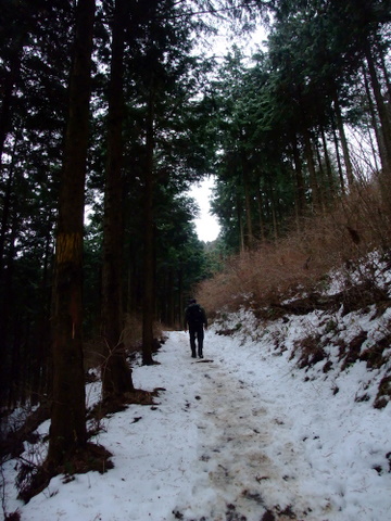 a0043982_6262994.jpg