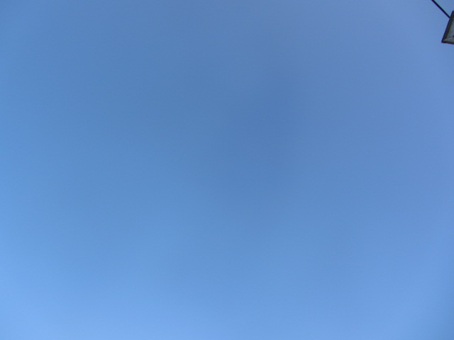 b0202185_513246.jpg