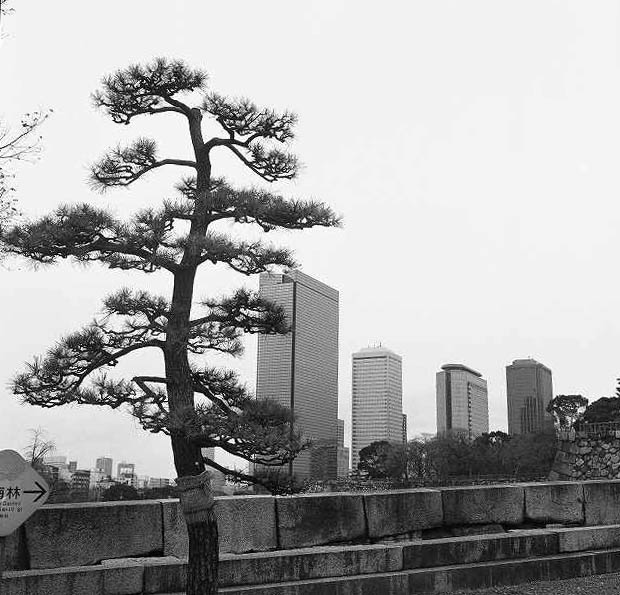 c0160387_12105310.jpg