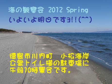 a0125598_19472343.jpg