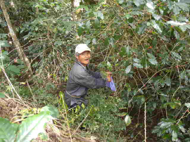 b0128901_18341784.jpg