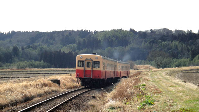 d0004301_21283861.jpg