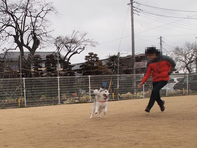 b0207615_23215362.jpg