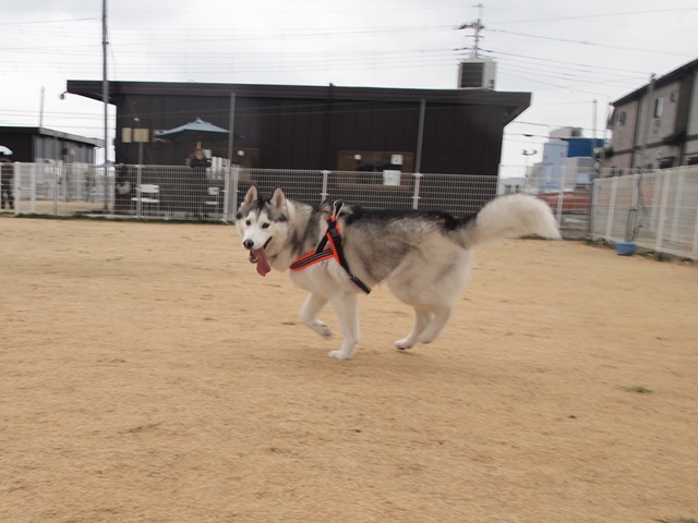 b0207615_2322818.jpg