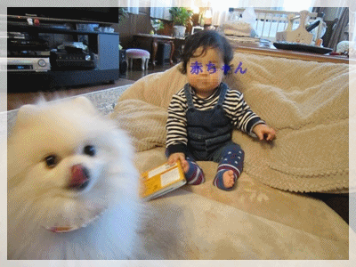 b0167519_9333722.gif