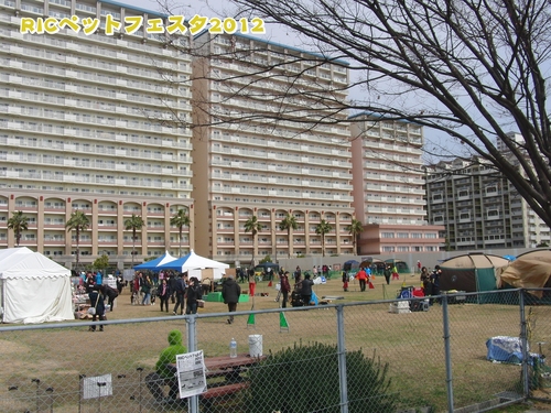 e0179321_20595283.jpg
