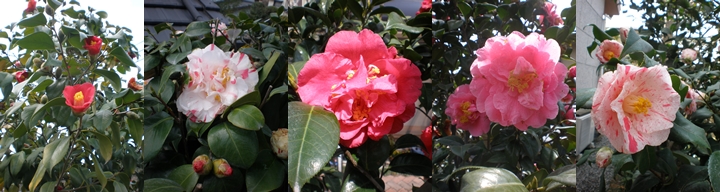 f0122629_1232979.jpg