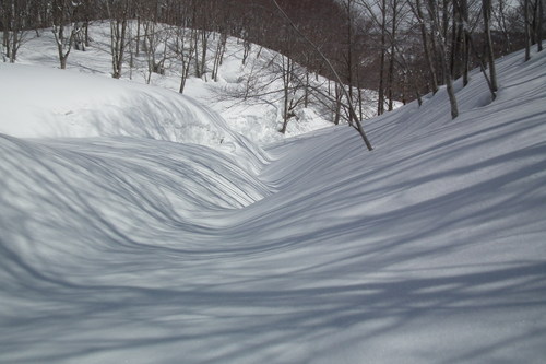f0118332_014551.jpg