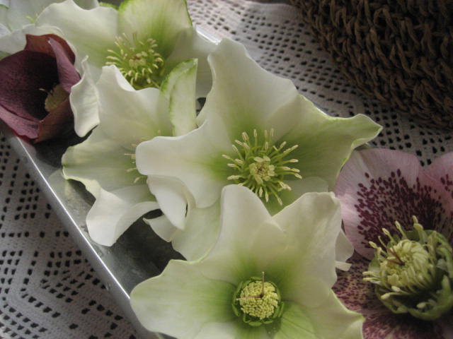 b0166435_1591155.jpg
