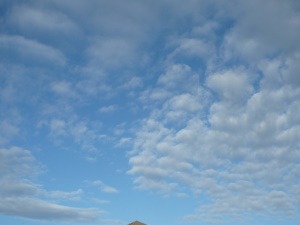 a0219536_115046100.jpg