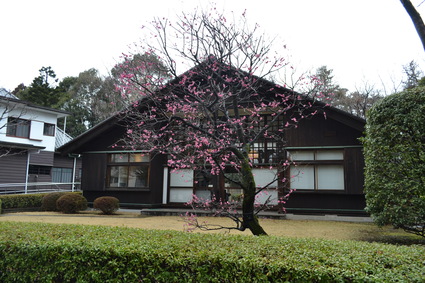 e0228938_17121322.jpg