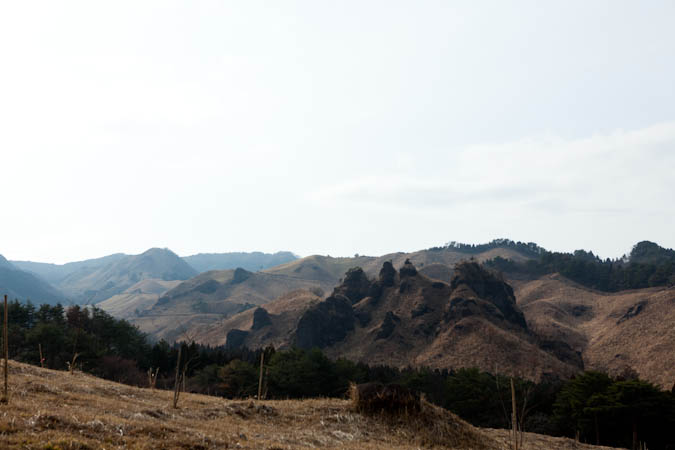 d0139939_003045.jpg