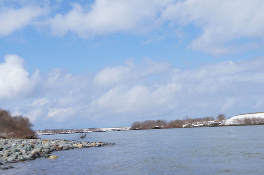 b0072541_17475739.jpg