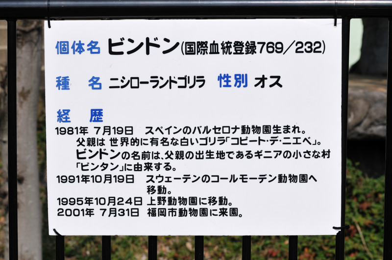 b0190445_16144074.jpg