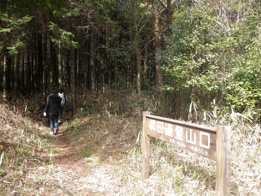 c0042847_8404890.jpg
