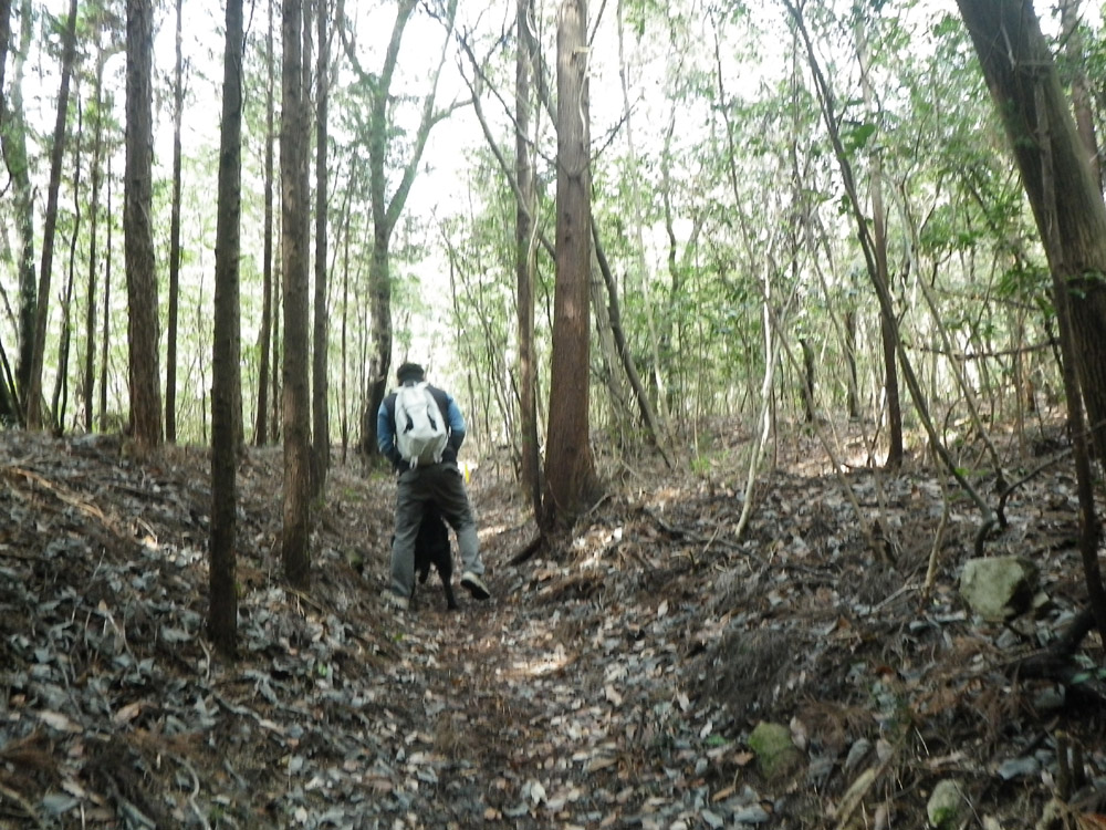 c0042847_8414419.jpg