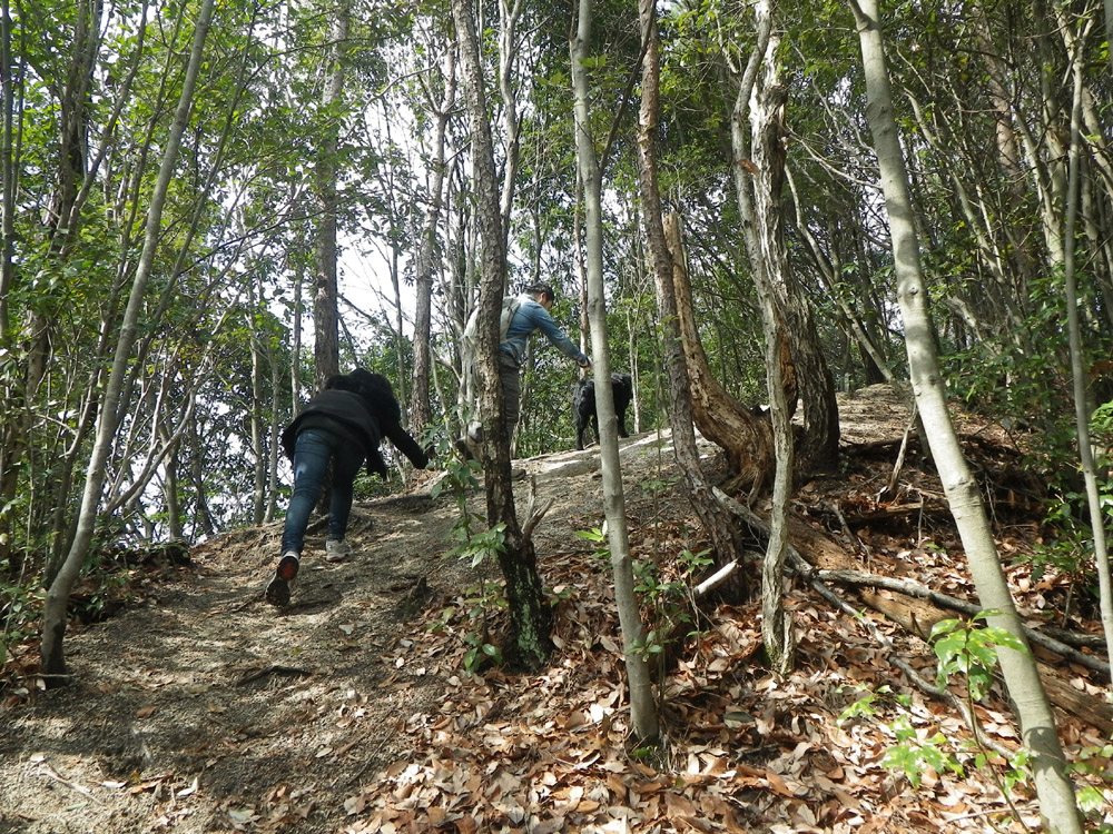 c0042847_8421733.jpg