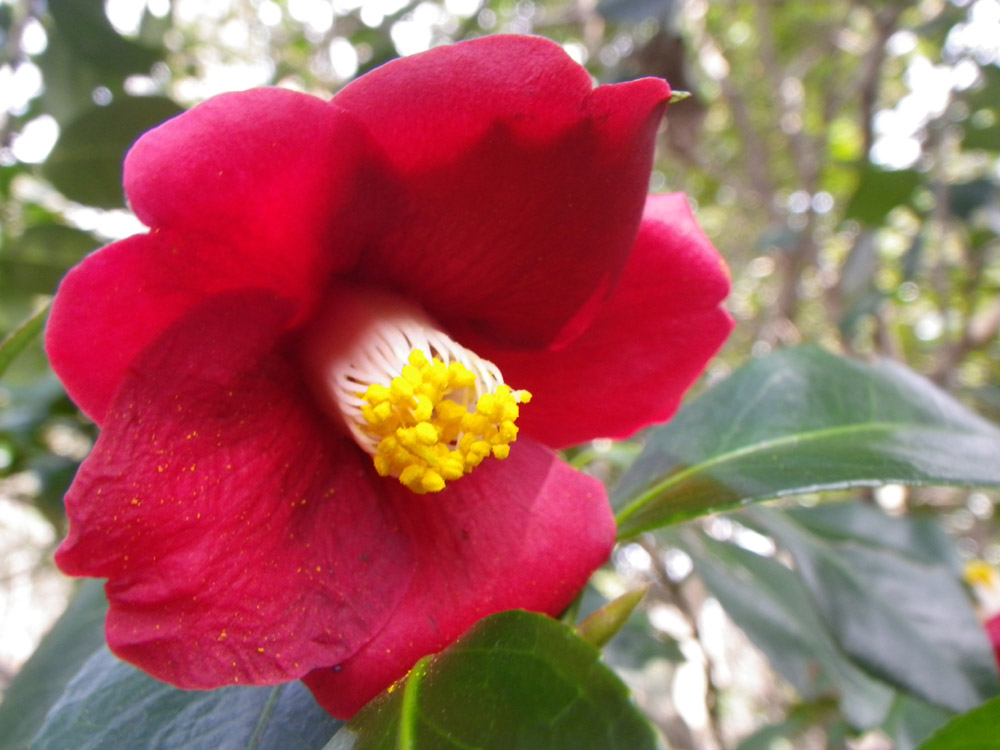 c0042847_8431923.jpg