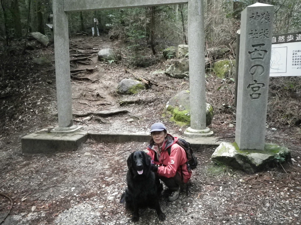 c0042847_8462369.jpg