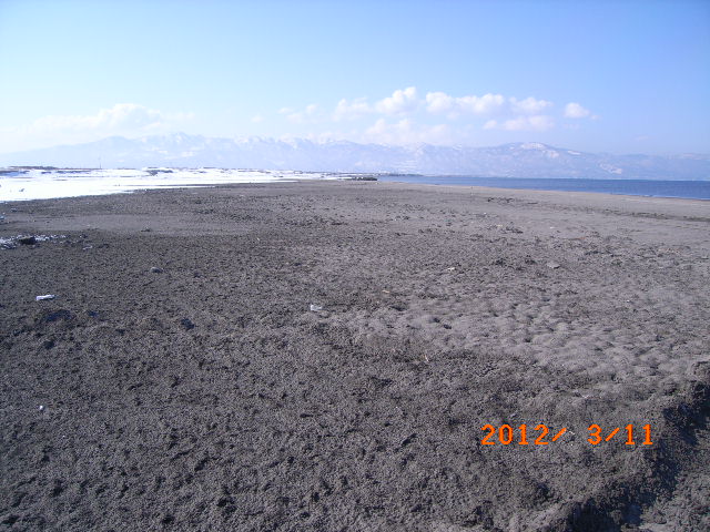 a0157451_1713110.jpg